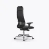 Кресло SynchroSit 10 B1-115D - X2+Extra /Um00/Wm12/D02P(M23.B22.G18.W02), Черный