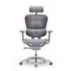 Кресло Falto Ergohuman Special Edition EVEREST  (серый каркас/сетка светлый)