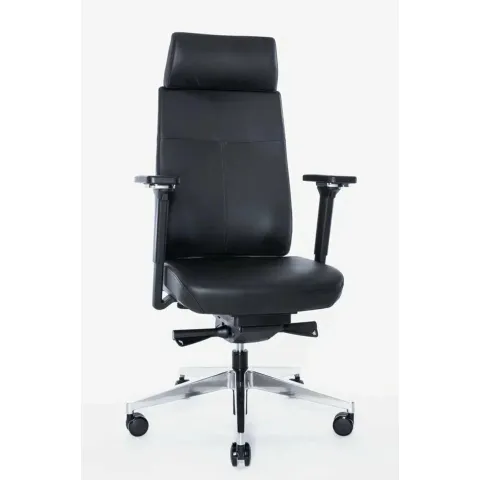 Кресло Trona 1702-41H_Leather (черный каркас/черная  натур. кожа/ал. крестовина)