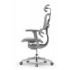 Кресло Falto Ergohuman Special Edition EVEREST  (серый каркас/сетка светлый)