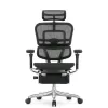 Кресло Falto Ergohuman Luxury 2 с подножкой (чёрный каркас/сетка чёрный T-168-B1 Black)