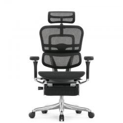 Кресло Falto Ergohuman Luxury 2 с подножкой (чёрный каркас/сетка чёрный T-168-B1 Black)