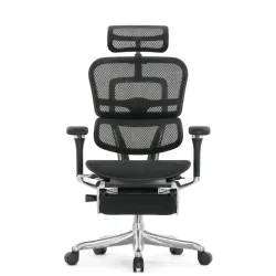 Кресло Falto Ergohuman Luxury 2 с подножкой (чёрный каркас/сетка чёрный T-168-B1 Black)