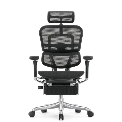 Кресло Falto Ergohuman Luxury 2 с подножкой (чёрный каркас/сетка чёрный T-168-B1 Black)