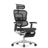 Кресло Falto Ergohuman Luxury 2 с подножкой (чёрный каркас/сетка чёрный T-168-B1 Black)