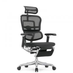 Кресло Falto Ergohuman Luxury 2 с подножкой (чёрный каркас/сетка чёрный T-168-B1 Black)