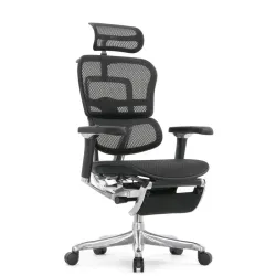 Кресло Falto Ergohuman Luxury 2 с подножкой (чёрный каркас/сетка чёрный T-168-B1 Black)