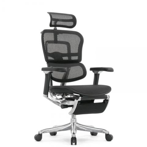 Кресло Falto Ergohuman Luxury 2 с подножкой (чёрный каркас/сетка чёрный T-168-B1 Black)