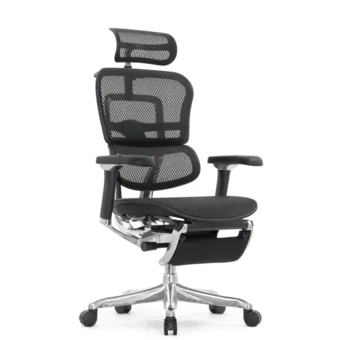 Кресло Falto Ergohuman Luxury 2 с подножкой (чёрный каркас/сетка чёрный T-168-B1 Black)