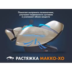 Массажное кресло FUJIMO 氣 Combat 4D Коричневый
