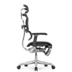 Кресло Falto Ergohuman Luxury 2 с подножкой (чёрный каркас/сетка чёрный T-168-B1 Black)