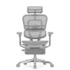 Кресло Falto Ergohuman Luxury 2 с подножкой (серый каркас/сетка светлаяT-168-B2 Natural)