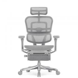 Кресло Falto Ergohuman Luxury 2 с подножкой (серый каркас/сетка светлаяT-168-B2 Natural)