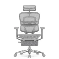 Кресло Falto Ergohuman Luxury 2 с подножкой (серый каркас/сетка светлаяT-168-B2 Natural)
