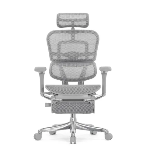 Кресло Falto Ergohuman Luxury 2 с подножкой (серый каркас/сетка светлаяT-168-B2 Natural)