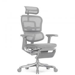 Кресло Falto Ergohuman Luxury 2 с подножкой (серый каркас/сетка светлаяT-168-B2 Natural)
