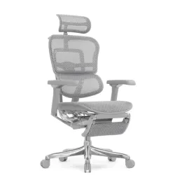 Кресло Falto Ergohuman Luxury 2 с подножкой (серый каркас/сетка светлаяT-168-B2 Natural)