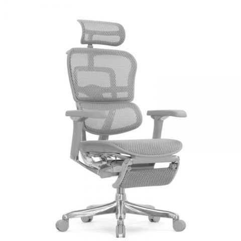 Кресло Falto Ergohuman Luxury 2 с подножкой (серый каркас/сетка светлаяT-168-B2 Natural)