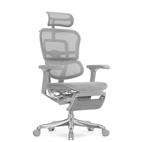 Кресло Falto Ergohuman Luxury 2 с подножкой (серый каркас/сетка светлаяT-168-B2 Natural)