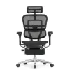 Кресло Falto Ergohuman Elite 2 с подножкой (чёрный каркас/сетка чёрный T-168-B1 Black)