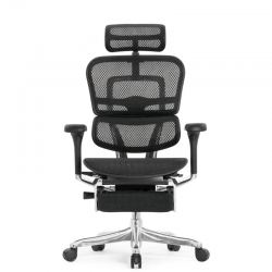 Кресло Falto Ergohuman Elite 2 с подножкой (чёрный каркас/сетка чёрный T-168-B1 Black)