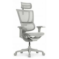 Кресло Falto IOO Ultra (space grey каркас/сетка T-168-B2 natural mesh)