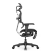 Кресло Falto Ergohuman Ultra с подножкой (чёрный каркас/сетка чёрный T-168-B1 Black)