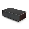 Умный кофейный столик с холодильником EUREKA TB135, Walnut+Black