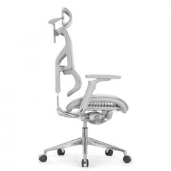 Кресло Falto Sail 2 (динамичный поясничный упор, подлокотникии 6D(360), сетка, каркас серый, белый)