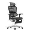 Кресло Falto Ergohuman Elite 2 с подножкой (чёрный каркас/сетка чёрный T-168-B1 Black)
