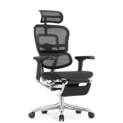 Кресло Falto Ergohuman Elite 2 с подножкой (чёрный каркас/сетка чёрный T-168-B1 Black)