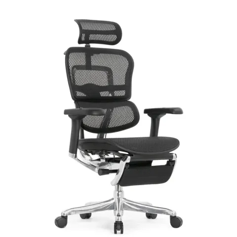 Кресло Falto Ergohuman Elite 2 с подножкой (чёрный каркас/сетка чёрный T-168-B1 Black)