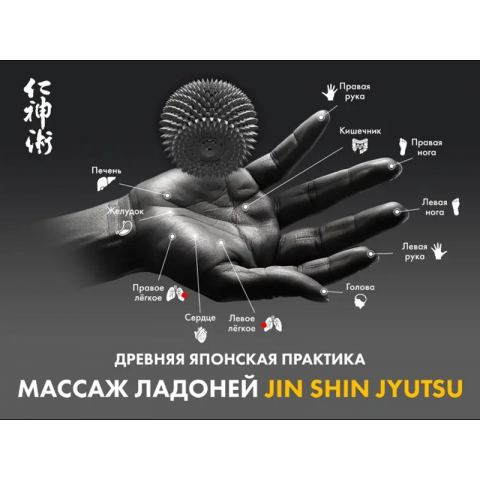 Массажное кресло FUJIMO 氣 Combat 4D Шампань