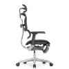 Кресло Falto Ergohuman Elite 2 с подножкой (чёрный каркас/сетка чёрный T-168-B1 Black)