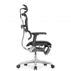 Кресло Falto Ergohuman Elite 2 с подножкой (чёрный каркас/сетка чёрный T-168-B1 Black)