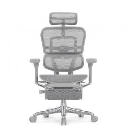Кресло Falto Ergohuman Elite 2 с подножкой (серый каркас/сетка светлаяT-168-B2 Natural)