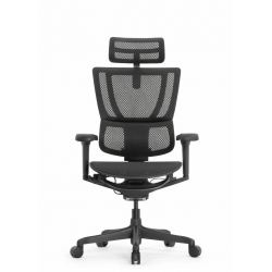 Кресло Falto IOO Ultra (чёрный каркас/сетка T-168-B1 black mesh)