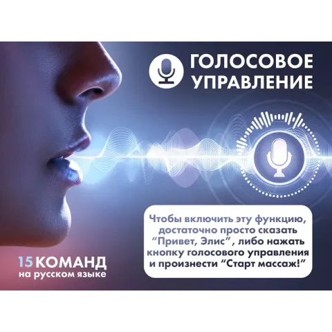 Массажное кресло FUJIMO  氣 FLEXOR Business Edition Grey