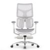 Кресло с подножкой SIHOO Doro S100 (разделенный поясничный упор, сетка, белый, серый)