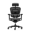 Кресло Falto Ergohuman Ultra (чёрный каркас/сетка чёрный T-168-B1 Black)