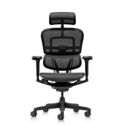 Кресло Falto Ergohuman Ultra (чёрный каркас/сетка чёрный T-168-B1 Black)