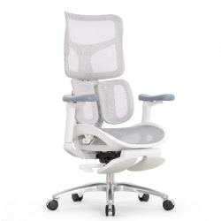 Кресло с подножкой SIHOO Doro S100 (разделенный поясничный упор, сетка, белый, серый)