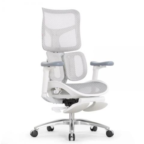 Кресло с подножкой SIHOO Doro S100 (разделенный поясничный упор, сетка, белый, серый)