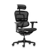 Кресло Falto Ergohuman Ultra (чёрный каркас/сетка чёрный T-168-B1 Black)