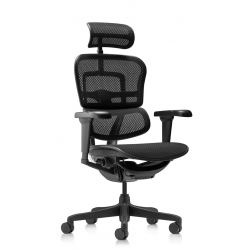 Кресло Falto Ergohuman Ultra (чёрный каркас/сетка чёрный T-168-B1 Black)