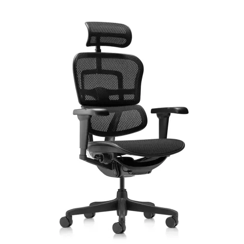 Кресло Falto Ergohuman Ultra (чёрный каркас/сетка чёрный T-168-B1 Black)