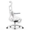 Кресло с подножкой SIHOO Doro S100 (разделенный поясничный упор, сетка, белый, серый)
