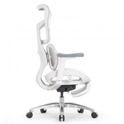 Кресло с подножкой SIHOO Doro S100 (разделенный поясничный упор, сетка, белый, серый)