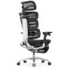 Компьютерное кресло Falto Evolution (чёрный каркас, сетка чёрная, подножка встроенная)
