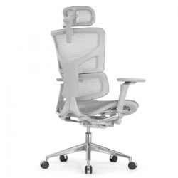 Кресло Falto Sail 2 (динамичный поясничный упор, подлокотникии 6D(360), сетка, каркас серый, белый)